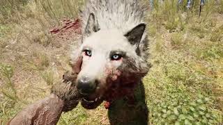 Far Cry Primal  Snowblood Wolf Hunt [upl. by Yatnuahs]