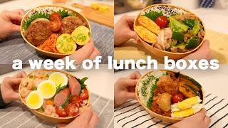 【A week of husband lunch boxes 】Lunchbox dishes that my husband praised [upl. by Katlin]