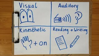 What kind of learner are you  The 4 different learning styles [upl. by Longfellow]