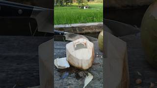 asmr peeling large green coconut asmr peeling coconut [upl. by Googins208]