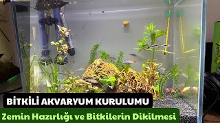 BİTKİLİ AKVARYUM KURULUMU  ZEMİN HAZIRLIĞI VE BİTKİLERİN DİKİLMESİ [upl. by Carolina]