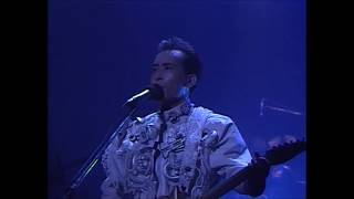 Susumu Hirasawa  QUIT Live 1990 [upl. by Stedt]