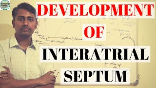 DEVELOPMENT OF INTERATRIAL SEPTUM [upl. by Muire]