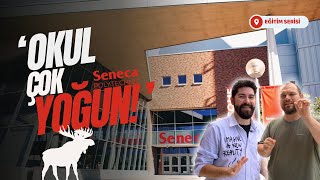 YAZILIM ÖĞRENCİLERİ ANLATIYOR SENECA YORK KAMPÜSÜ [upl. by Simmons]