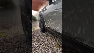 Satisfying PreWash cardetailing carwash [upl. by Ayekehs280]