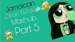 Jamaican TikTok mashup clean part 5 [upl. by Spenser]