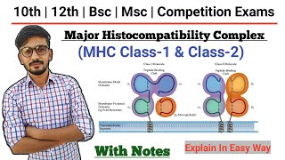 Immunology MHC Cell In Hindi  MHC Class  Major Histocompatibility Complex  By Dadhich Sir [upl. by Nealey]