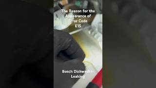 Obvious Reason for the Appearance of Error Code E15 on the Display of a Bosch Dishwasher [upl. by Brita420]