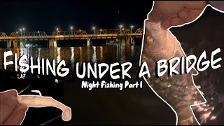 Fishing The ESTUARY At NIGHT Part 1  Shoalhaven River  Large Structure [upl. by Silas]