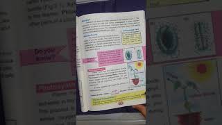 PHOTOSYNTHESIS amp RESPIRATION IN PLANTS  CH3 SCI6 [upl. by Yhprum273]