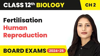 Fertilisation  Human Reproduction  Class 12 Biology Chapter 2  CBSE 202425 [upl. by Annaet800]