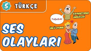 Ses Olayları  5 Sınıf Türkçe evokul Kampı [upl. by Auvil]