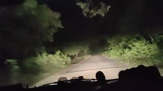 जंगल में मिला लकड़बग्घा । Striped Hyena Sighting In Rajaji National Park । Night Jungle Drive [upl. by Blank]