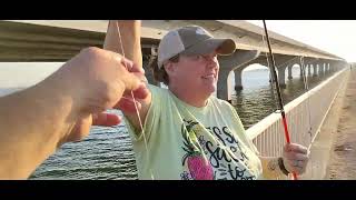 Pinfish MANIA we couldnt get away from the pinfish fishing pinfish beaufortsc broadriverpier [upl. by Eceined639]