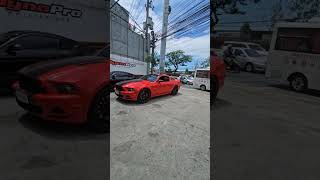 GT MUSTANGS DYNO NUMBERS S550 512HP AND S197 328HP [upl. by Xino48]