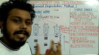 DNA sequencing by Maxam Gilbert method [upl. by Lean135]