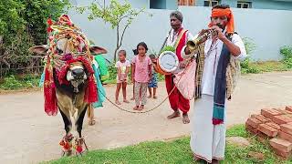 Gangireddu melam in our Village Gangireddu melamVillage gangiredduVideoViral [upl. by Neelav]