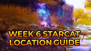 Destiny 2  Week 6 Starcat Location Guide Harbingers Seclude Gardens of Esila amp The Confluence [upl. by Anawit]