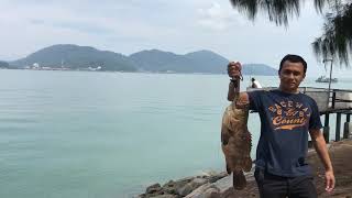 Kerapu 4kg Rockbund Fishing Chalet Lumut Perak March 2018 [upl. by Sallie643]