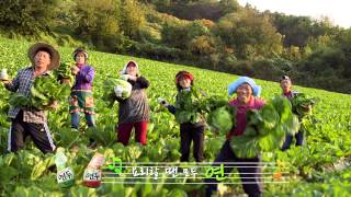 샘표연두TV광고배추된장국편15초 [upl. by Zil]