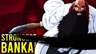 The Most POWERFUL Bankai RANKED and EXPLAINED [upl. by Ylecic726]