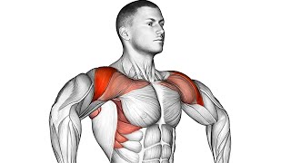 How to Get Wider Shoulders Posture Correction [upl. by Elocel]