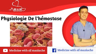 2 Physiologie de LHémostase  Physiologie 2ème MED [upl. by Eddy973]