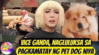 Vice Ganda nagluluksa sa pagkamatay ng pet dog niya [upl. by Anialam]