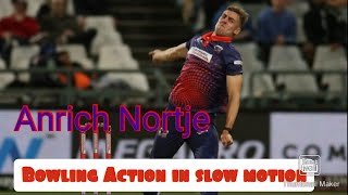 Anrich Nortje bowling action in slow motion South African fast bowler [upl. by Inuat]