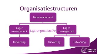 Organisatiestructuren  Bedrijfseconomie [upl. by Yeltneb]