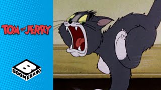 Tom amp Jerry vs Spike  Tom amp Jerry  Boomerang UK [upl. by Gnivre]