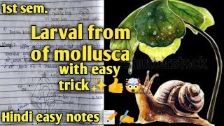 Larval from of mollusca ✍️✨📝msc Zoology 1st semester hindi easy notes with easy tricks 😀🤯👍✨🔥🔥🔥 [upl. by Sivlek]