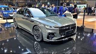 2022 Lincoln Zephyr FirstLook Walkaround—2021 Chengdu Motor Show—2022款林肯Zephyr，外观与内饰实拍 [upl. by Isaacs243]