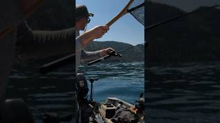 Kokanee on Trolling for Kokanee okanagan fishing salmon [upl. by Sprague]