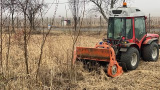 Defrisare vegetatie invaziva prin tocarea vegetației cu tocator forestier [upl. by Elset]