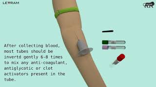 Venipuncture Animation [upl. by Assedo]