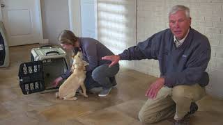 Puppy Training  Crate Training Your Puppy  Mike Stewart  Wildrose Kennels [upl. by Inobe592]