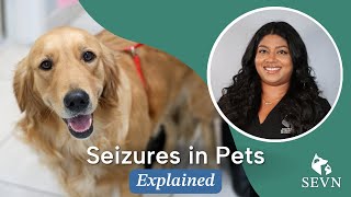 Seizures in Pets Causes Symptoms and Treatment Options [upl. by Llesirg]