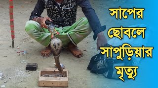 কড়ি দিয়ে সাপ ধরা দেখুন ২ টা সাপ ধরেছে How to catch snake [upl. by Weinhardt234]