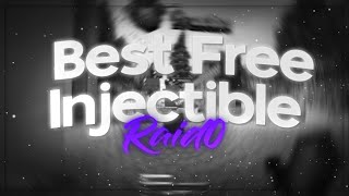 The Best Free Injectable Client  Raid0 [upl. by Aicirtac]