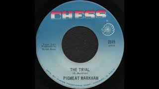 THE TRIAL  PIGMEAT MARKHAM CHESS 2049 [upl. by Namielus]