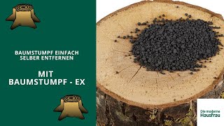 Baumstumpf entfernen  mit BaumstumpfEx 250 g [upl. by Simdars]