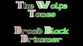 The Wolfe Tones  Broad Black Brimmer [upl. by Lindsy]