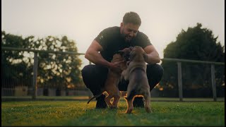 Protection Dogs Worldwide Brand Film [upl. by Yrrat]