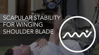 Scapular Stability  Fix Your Winging Shoulder Blade [upl. by Wolpert48]