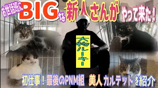 さかがみ家にBIGな新人さんがやってきた！ [upl. by Ericha]