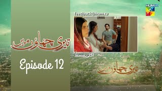 Teri Chhaon Mein  EP 13  Teri Chhaon Mein Drama Episode 13 [upl. by Anertac]