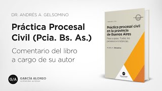 Gelsomino Práctica Procesal Civil Provincia de Buenos Aires [upl. by Daveda]