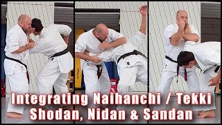 Practical Kata Bunkai Integrating Naihanchi  Tekki Shodan Nidan and Sandan [upl. by Yssor]