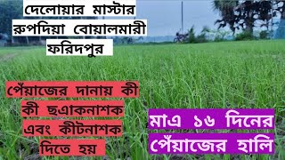 ১৫ দিনের পেঁয়াজের হালি আলহামদুলিল্লাহ। দেলোয়ার মাস্টার রুপদিয়া বোয়ালমারী ফরিদপুর। [upl. by Arrol]